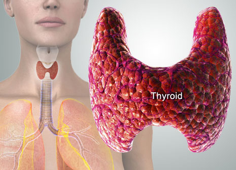 лечение гипотиреоза щитовидной железы